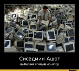 Ашот выбирает спелый монитор