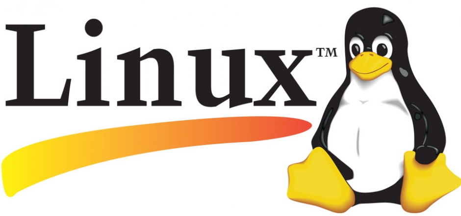 Услуги настройки и обслуживания Linux серверов